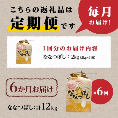 《令和7年産》6ヶ月連続お届け!ななつぼし2kg 特A ブランド米 米 白米 精米 北海道 定期便