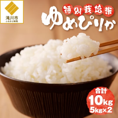 《令和7年産》特別栽培米ゆめぴりか 10kg 特A 減農薬 白米 ブランド米 北海道滝川市