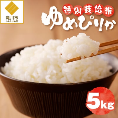 《令和7年産》特別栽培米ゆめぴりか 5kg 特A 減農薬 白米 ブランド米 北海道滝川市