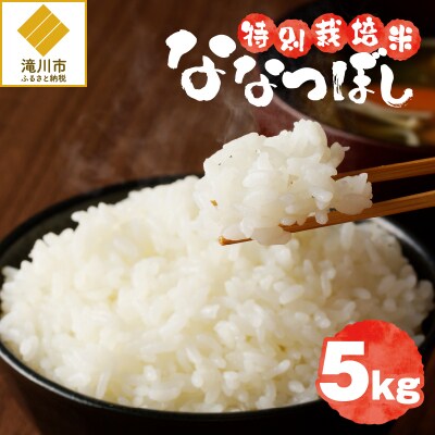 《令和7年産》特別栽培米ななつぼし 5kg 特A 減農薬 白米 ブランド米 北海道滝川市