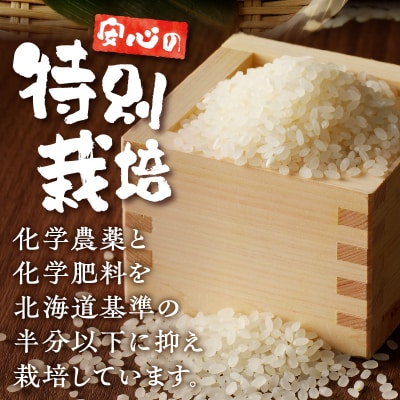 新米【先行受付】令和7年産特別栽培ななつぼし 5kg×2袋 12ヶ月連続