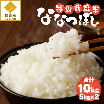 《令和7年産》特別栽培米ななつぼし 10kg 特A 減農薬 白米 ブランド米 北海道滝川市