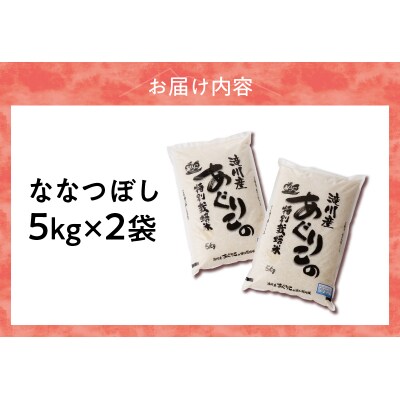 新米【先行受付】令和7年産特別栽培ななつぼし 5kg×2