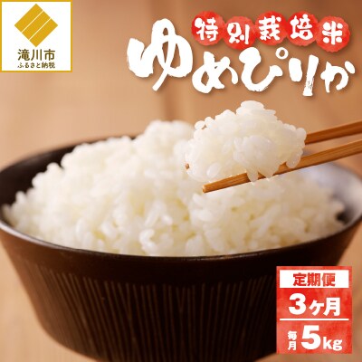 《令和7年産》特別栽培米ゆめぴりか 5kg×3ヵ月定期便 特A 減農薬 白米 北海道滝川市