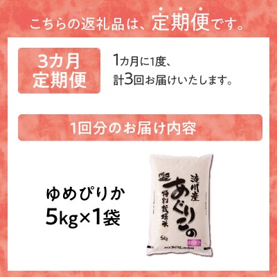 《令和7年産》特別栽培米ゆめぴりか 5kg×3ヵ月定期便 特A 減農薬 白米 北海道滝川市