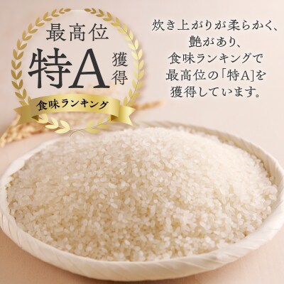 《令和7年産》特別栽培米ゆめぴりか 10kg×3ヵ月定期便 特A 減農薬 白米 北海道滝川市