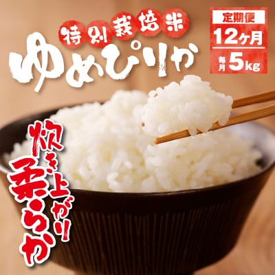 新米【先行受付】令和7年産特別栽培ゆめぴりか 5kg 12ヶ月連続