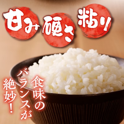新米【先行受付】令和7年産特別栽培ゆめぴりか 5kg 12ヶ月連続