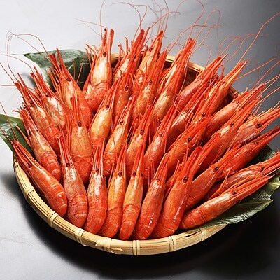 独特な 送料無料 500g と地ビールセット お正月準備 北海シマエビ 滝川市 ふるさと納税 その他エビ 滝川市 ふるさと納税 エビ Drudom Pl 独特な 送料無料 500g と地ビールセット お正月準備 北海シマエビ 滝川市 ふるさと納税 その他エビ 滝川市 ふるさと納税 エビ Drudom Pl
