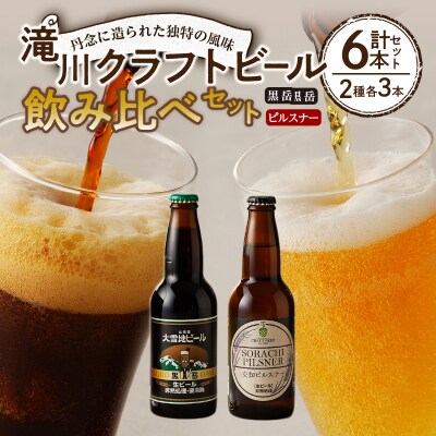 ソラチエース」使用のピルスナー6本 | お礼品詳細 | ふるさと納税なら