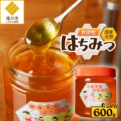 【北海道滝川産】高見養蜂場の純粋はちみつ(菩提樹、シナの木600g×1本) 国産 天然 無添加 蜂蜜