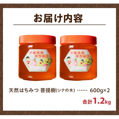 【北海道滝川産】高見養蜂場の純粋はちみつ(菩提樹、シナの木600g×2本) 国産 天然 無添加 蜂蜜