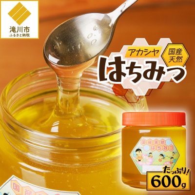 【北海道滝川産】高見養蜂場の純粋はちみつ(アカシヤ600g×1本)国産 天然 無添加 ハチミツ 蜂蜜