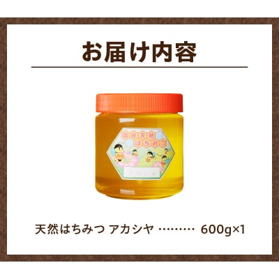 【北海道滝川産】高見養蜂場の純粋はちみつ(アカシヤ600g×1本)国産 天然 無添加 ハチミツ 蜂蜜