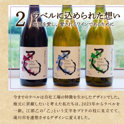 【数量限定】2022ヴィンテージワイン (白)750ml