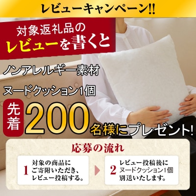 <レビューキャンペーン>令和7年産《先行受付》滝川産ゆめぴりか【無洗米】10kg