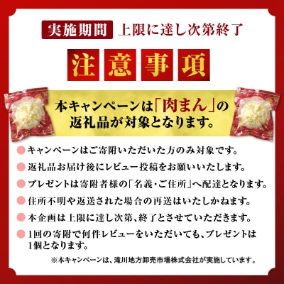 <レビューキャンペーン>特選肉まん 150g 9個セット