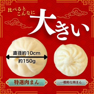 特選肉まん 150g 9個セット 北海道 国産 人気 惣菜 レンチン 豚まん