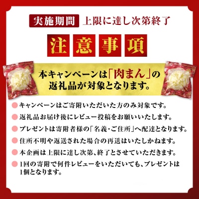 <レビューキャンペーン>特選肉まん 150g 9個セット 北海道 国産 人気 惣菜 レンチン 豚まん