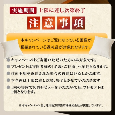 <レビューキャンペーン>令和7年産《先行受付》【3ヶ月定期】滝川産ゆめぴりか【無洗米】5kg