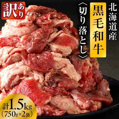 【訳あり】北海道産 黒毛和牛すじ切り落とし　750g×2袋|国産 冷凍 小分け パック 滝川市