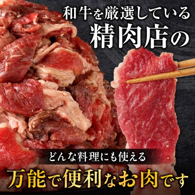 【訳あり】北海道産 黒毛和牛すじ切り落とし　750g×4袋|国産 冷凍 小分け パック 滝川市