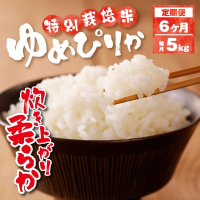新米【先行受付】令和7年産特別栽培ゆめぴりか 5kg 6ヶ月連続