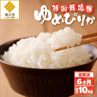 《令和7年産》特別栽培米ゆめぴりか 10kg×6ヵ月定期便 特A 減農薬 白米 北海道滝川市