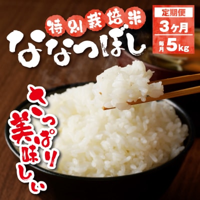 新米【先行受付】令和7年産特別栽培ななつぼし 5kg 3ヶ月連続