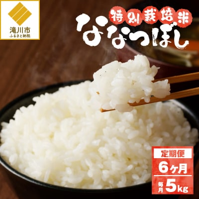 《令和7年産》特別栽培米ななつぼし 5kg×6ヵ月定期便 特A 減農薬 白米 北海道滝川市