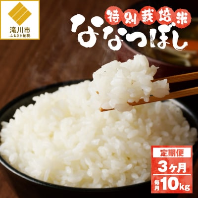 《令和7年産》特別栽培米ななつぼし 10kg×3ヵ月定期便 特A 減農薬 白米 北海道滝川市