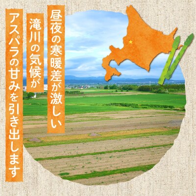 【2026年発送先行受付】北海道産グリーンアスパラ Lサイズ 1kg(500gx2袋) 産地直送
