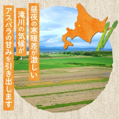 【農協直送】北海道産グリーンアスパラ　2Lサイズ　1kg(500gx2袋)