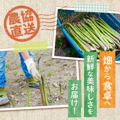 【2026年発送先行受付】北海道産グリーンアスパラ Mサイズ 1kg(500gx2袋) 産地直送