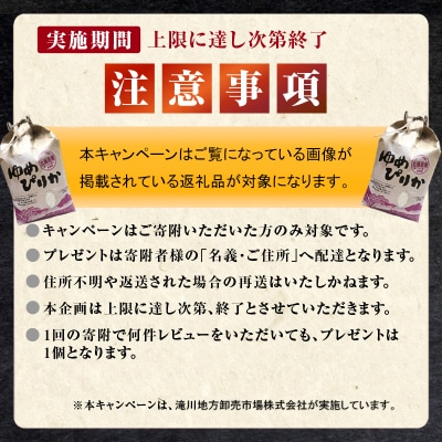 <レビューキャンペーン>9月1日から寄付額改定【数量限定】洗える 羽毛布団 シングル 掛け布団 国産