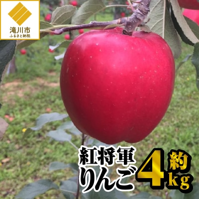 【令和7年出荷受付】紅将軍りんご 約4kg|先行受付 数量限定 りんご 林檎 フルーツ 果物 北海道