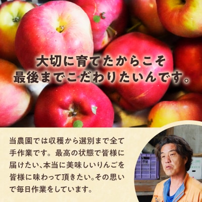 【令和7年出荷受付】紅将軍りんご 約4kg|先行受付 数量限定 りんご 林檎 フルーツ 果物 北海道