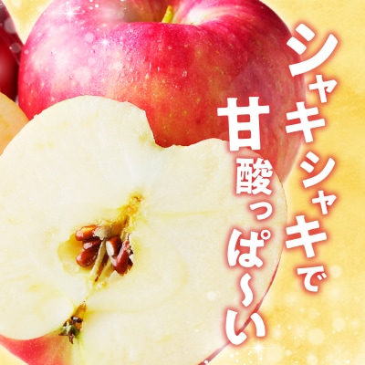【令和7年出荷受付】ひめかみりんご 約4kg|先行受付 数量限定 りんご 林檎 北海道 フルーツ 