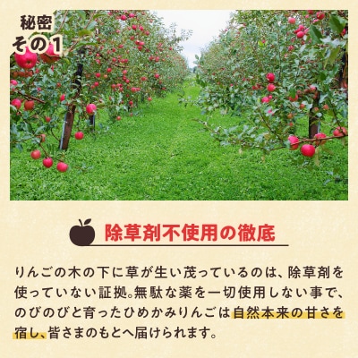 【令和7年出荷受付】ひめかみりんご 約4kg|先行受付 数量限定 りんご 林檎 北海道 フルーツ 