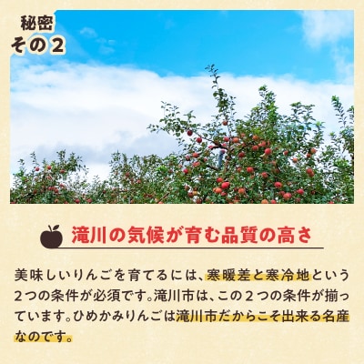 【令和7年出荷受付】ひめかみりんご 約4kg|先行受付 数量限定 りんご 林檎 北海道 フルーツ 