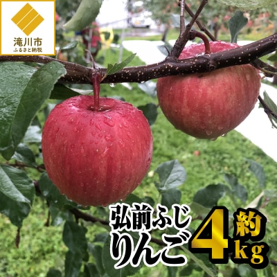 【令和7年出荷受付】弘前ふじりんご 約4kg |先行受付 数量限定 りんご 林檎 北海道 フルーツ