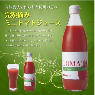 完熟摘みミニトマトジュース600ml 6本セット 北海道 無添加 無塩 100% とまと 滝川　