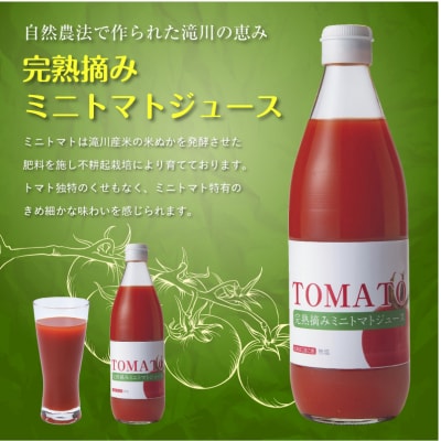 完熟摘みミニトマトジュース600ml 6本セット 北海道 無添加 無塩 100% とまと 滝川　