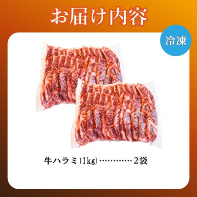 牛ハラミ 1kg×2袋 | 牛肉 ビーフ 厚切り スライス 熟成 冷凍 大容量 焼肉 滝川市