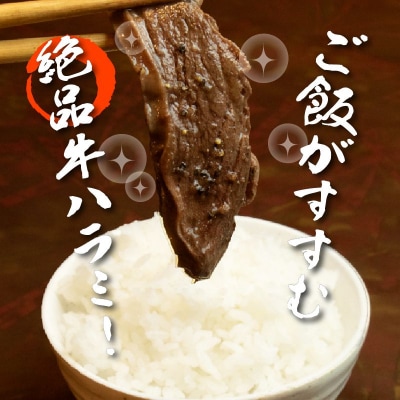 牛ハラミ 1kg×3袋 | 牛肉 ビーフ 厚切り スライス 熟成 冷凍 大容量 焼肉 滝川市