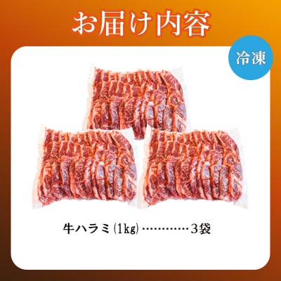 牛ハラミ 1kg×3袋 | 牛肉 ビーフ 厚切り スライス 熟成 冷凍 大容量 焼肉 滝川市