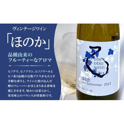 えべおつWein 2023年ヴィンテージワイン ほのか 750ml 1本 酒 辛口 北海道 滝川市