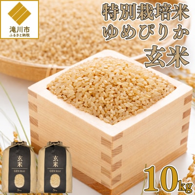 【特別栽培米】令和7年産 滝川産ゆめぴりか【玄米】10kg  特A ブランド米 北海道