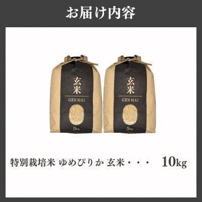 【特別栽培米】令和7年産 滝川産ゆめぴりか【玄米】10kg  特A ブランド米 北海道