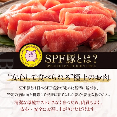北海道産 SPF豚ロース 1kg×2袋 | 国産 豚肉 ポーク 熟成 冷凍 厚さ約8mm 滝川市
